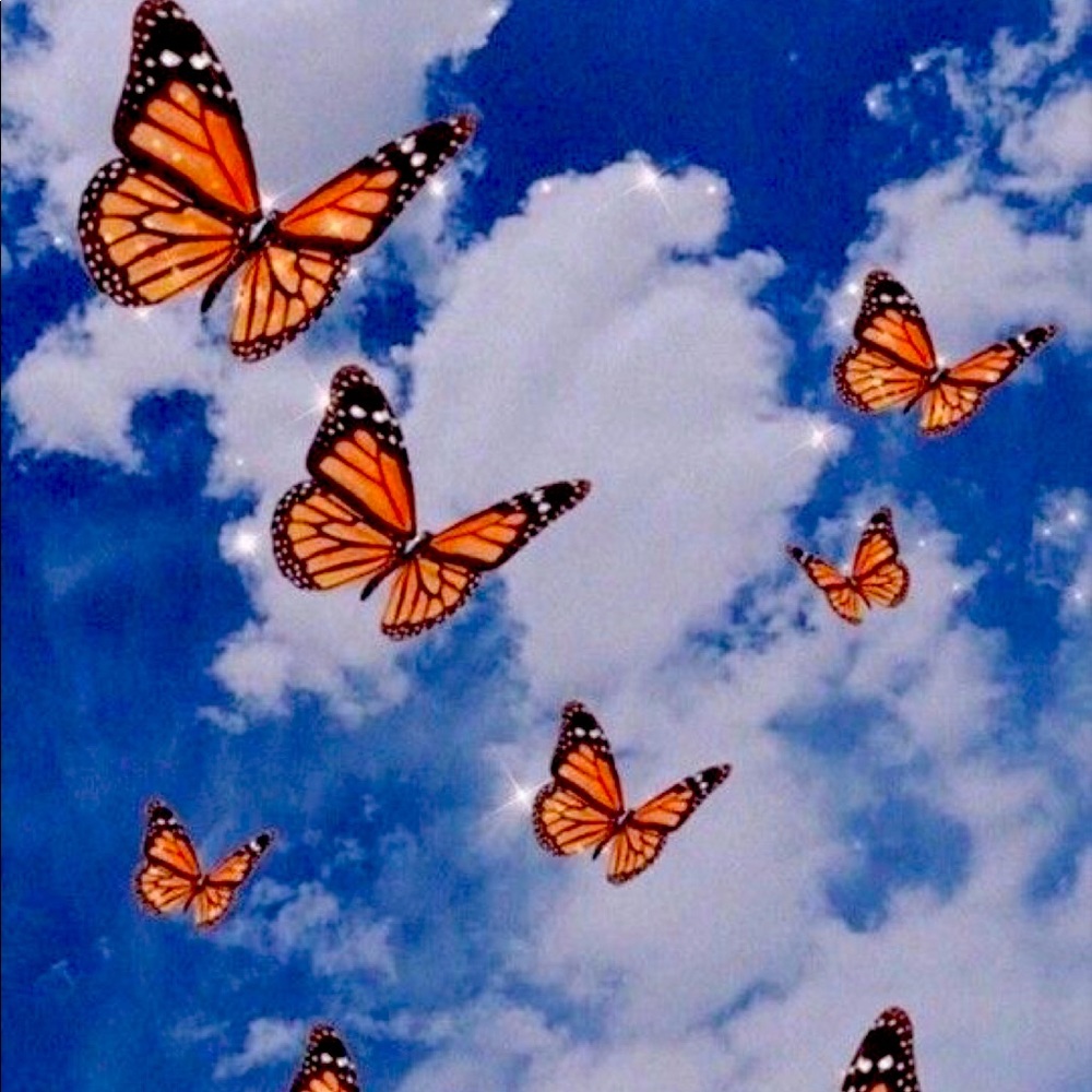 Meet your Posher, Ciera